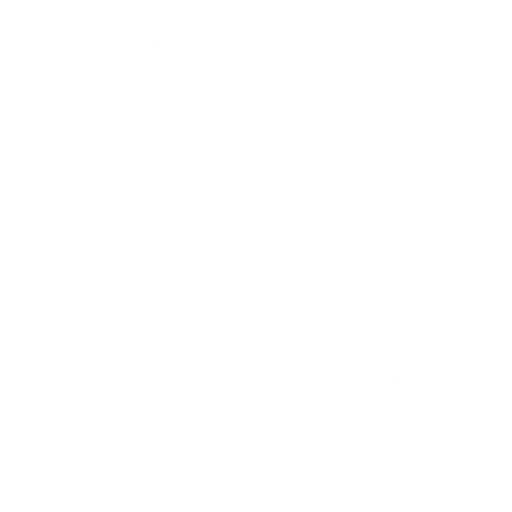 questionnaire icon